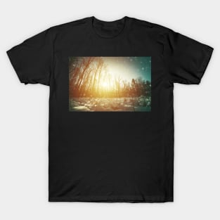 Clearing in winter forest T-Shirt